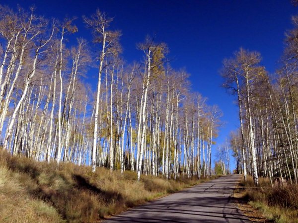 Almost There.jpg Almost There.jpg