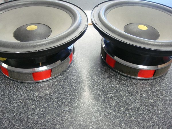 Focal- 12 inch woofer repair.jpg