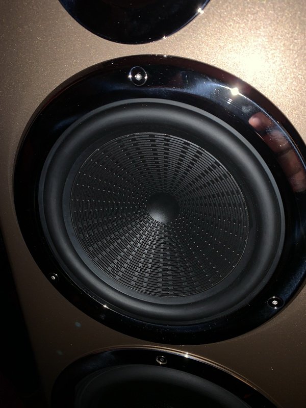 IMG_6636.JPG IMG_6636.JPG