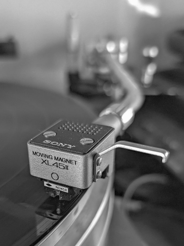 XL-45 - Kopie.jpg