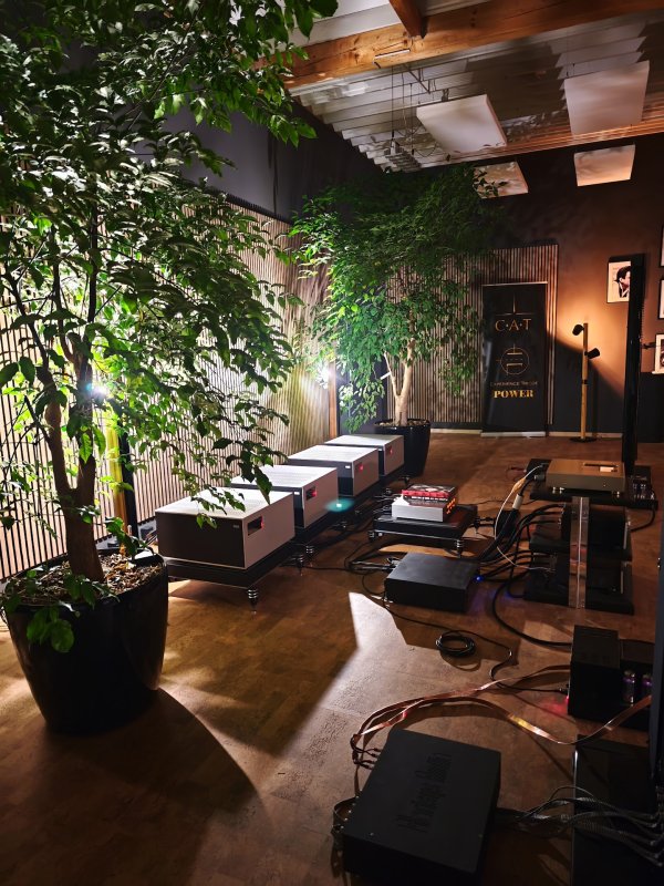 ShowroomBack.jpeg ShowroomBack.jpeg