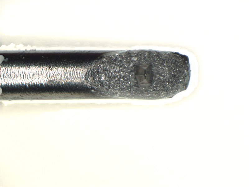 Multifocus Image - 1_000 copy.jpg