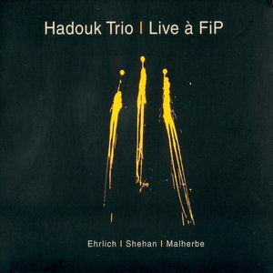 Hadouk Trio     Live à Fi P.jpg