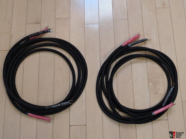 Gabriel Gold Rapture V3     Speaker Cables 01.jpg