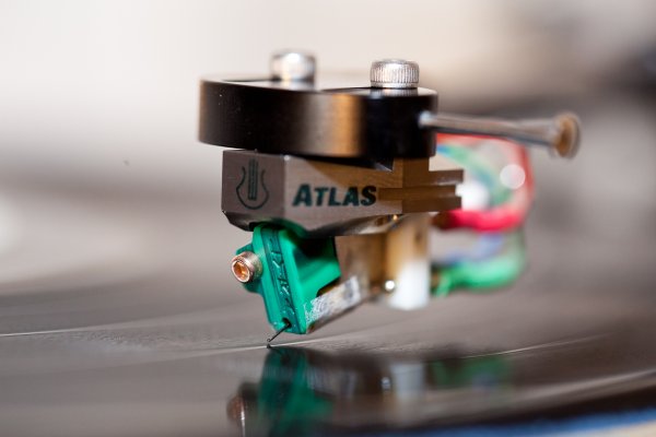 _MG_7128.jpg _MG_7128.jpg