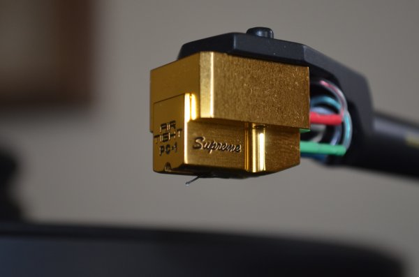 DSC_0011.JPG DSC_0011.JPG