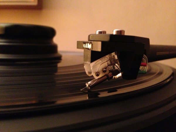 photo 8.JPG photo 8.JPG