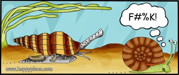 Assassin_snail_cartoon_b.jpg