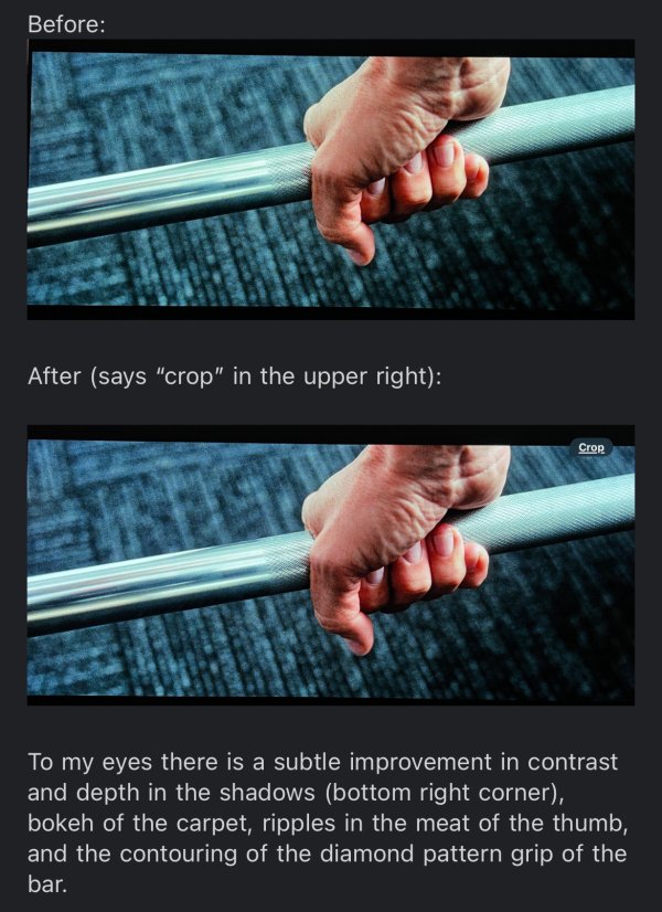 IMG_8951.jpeg IMG_8951.jpeg