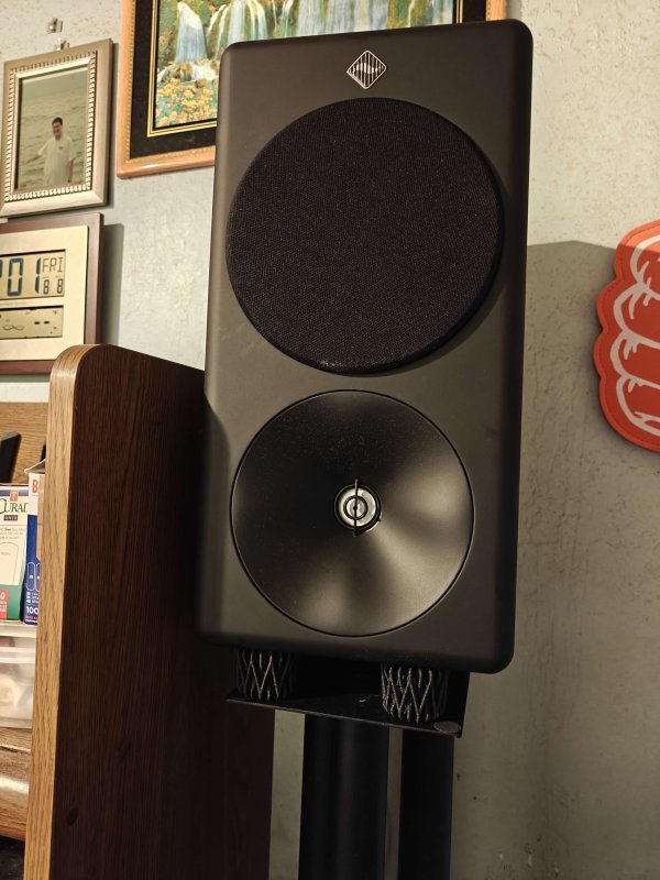 vibrons3.jpg vibrons3.jpg