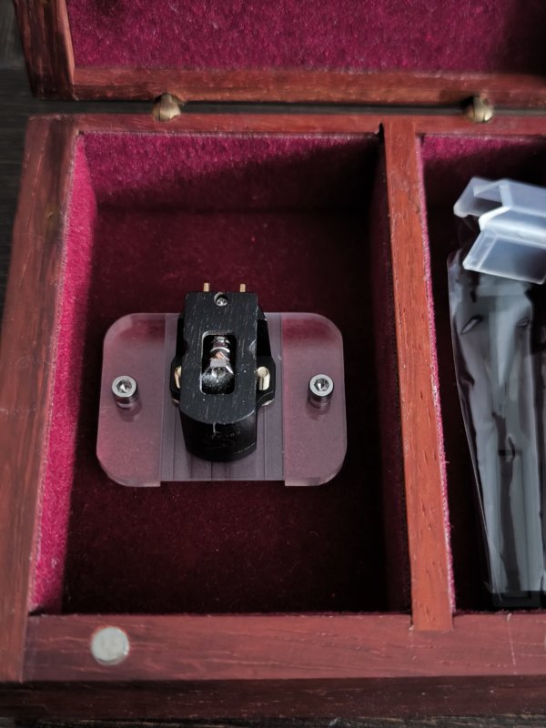 IMG_20250724_115827.jpg IMG_20250724_115827.jpg