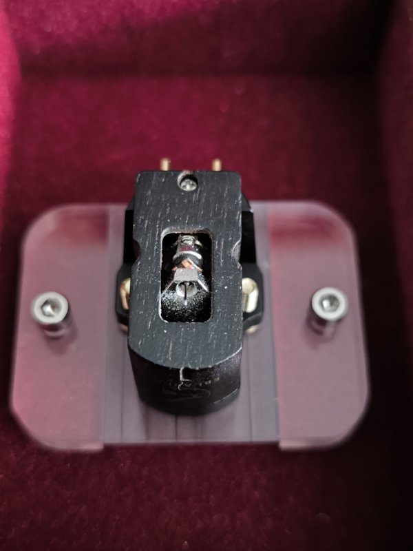 IMG_20250724_115838.jpg IMG_20250724_115838.jpg