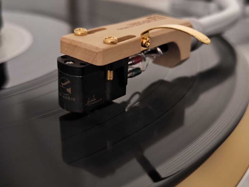 IMG_20250725_181608.jpg IMG_20250725_181608.jpg