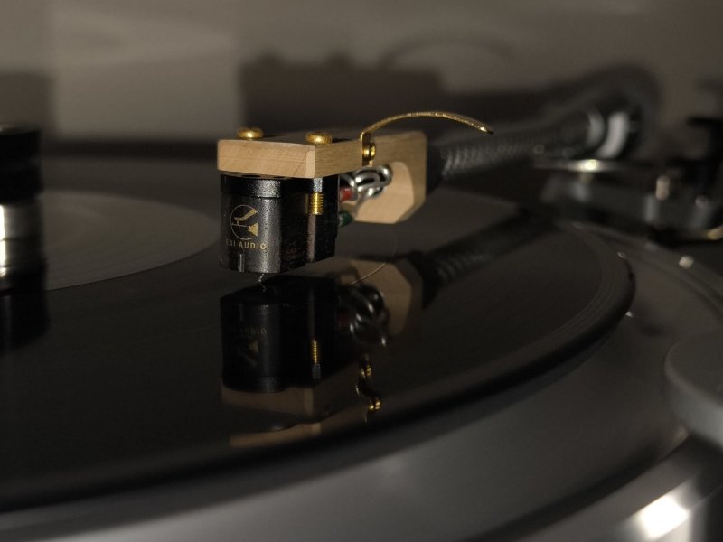 IMG_20250726_211749.jpg IMG_20250726_211749.jpg