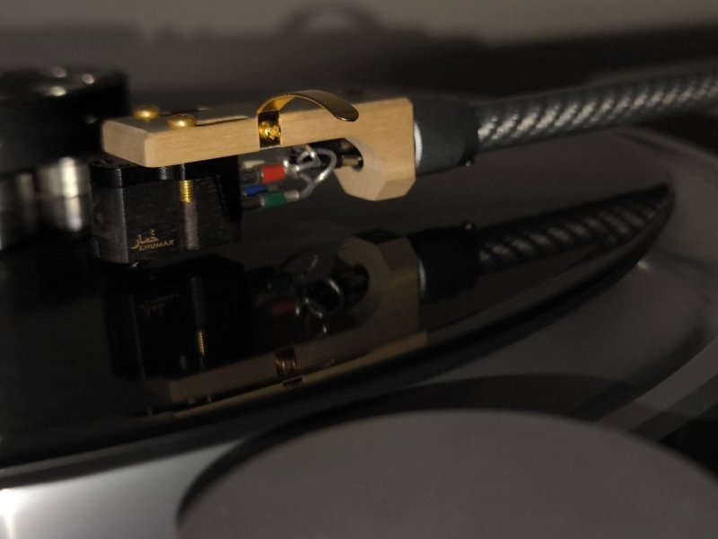 IMG_20250726_211842.jpg IMG_20250726_211842.jpg