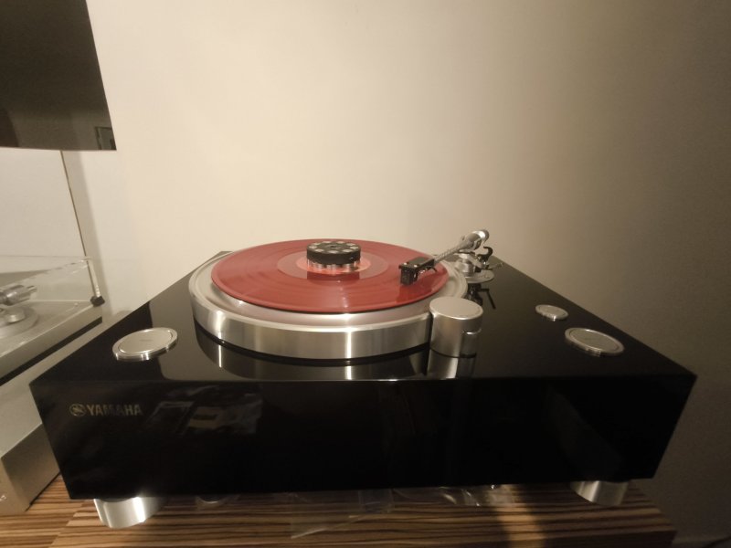 IMG_20250726_223147.jpg IMG_20250726_223147.jpg