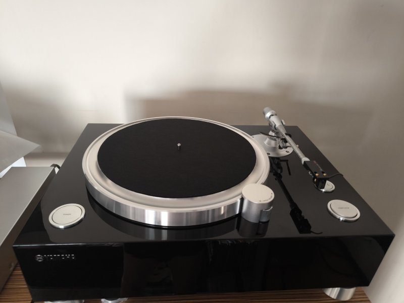 IMG_20250728_200721.jpg IMG_20250728_200721.jpg