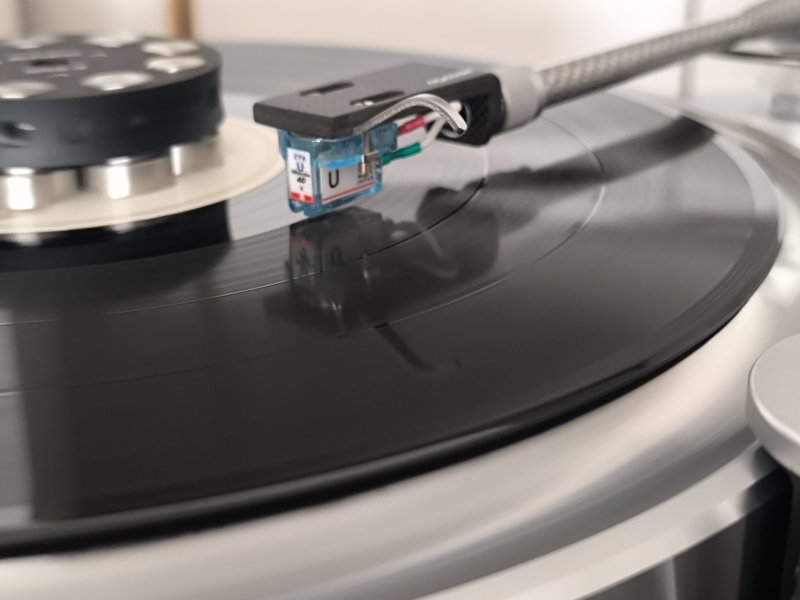 IMG_20250729_141446.jpg IMG_20250729_141446.jpg