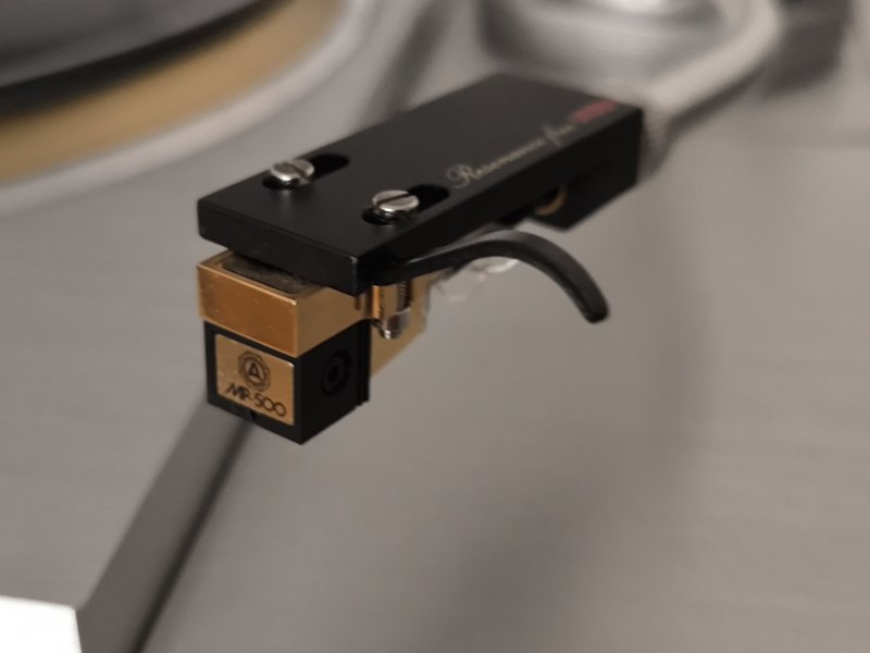 IMG_20250807_203528.jpg IMG_20250807_203528.jpg