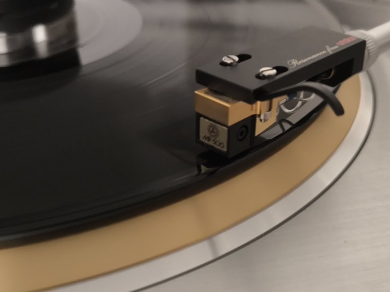 IMG_20250807_203612.jpg IMG_20250807_203612.jpg