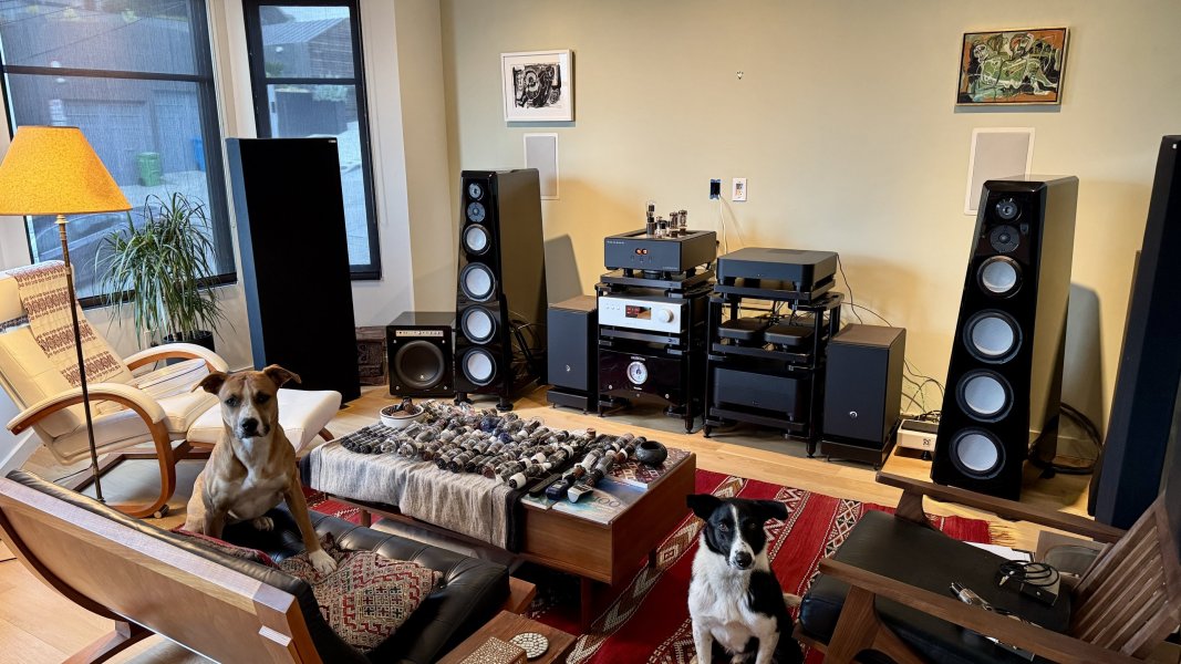 IMG_3147.jpeg IMG_3147.jpeg