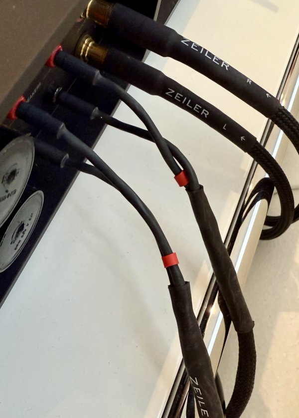 IMG_4911.jpeg IMG_4911.jpeg