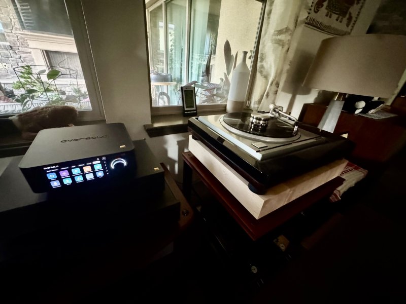 IMG_7648.jpeg IMG_7648.jpeg