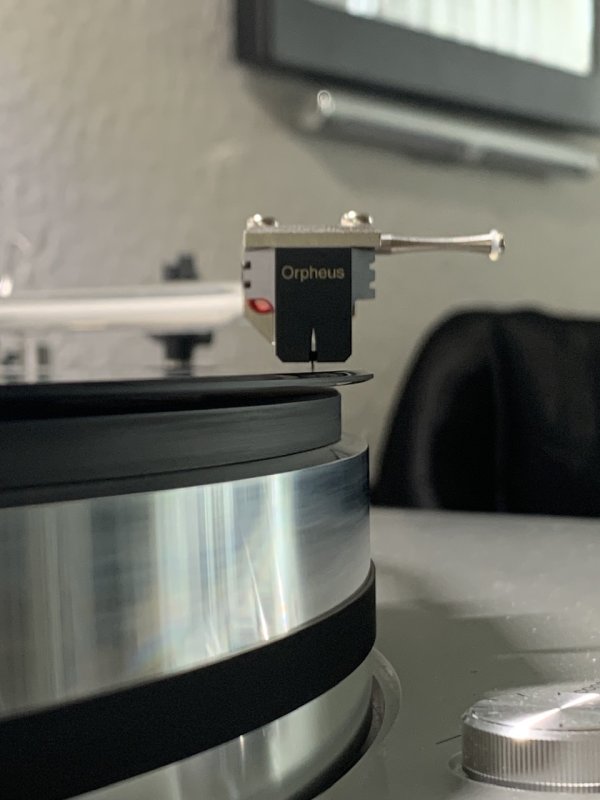 IMG_6273.jpeg IMG_6273.jpeg