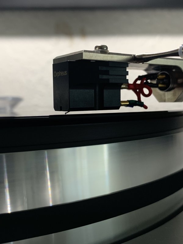 IMG_6274.jpeg IMG_6274.jpeg