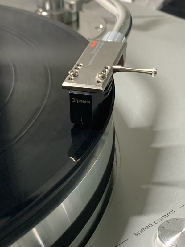 IMG_6275.jpeg IMG_6275.jpeg