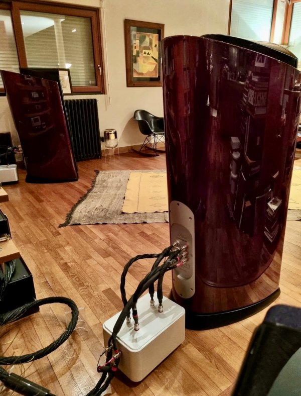 IMG_2765.jpeg IMG_2765.jpeg