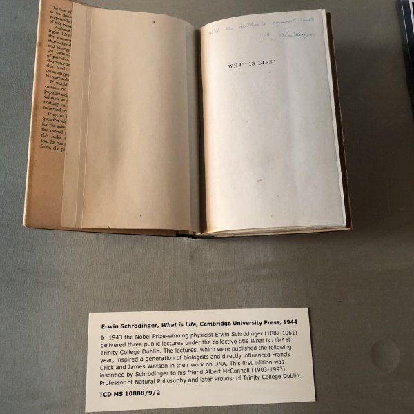 1758687228760.jpeg 1758687228760.jpeg