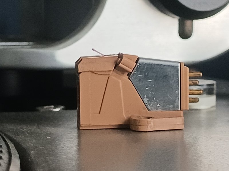 1000005451.jpg 1000005451.jpg