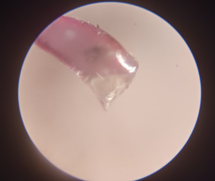 1000005446.jpg 1000005446.jpg