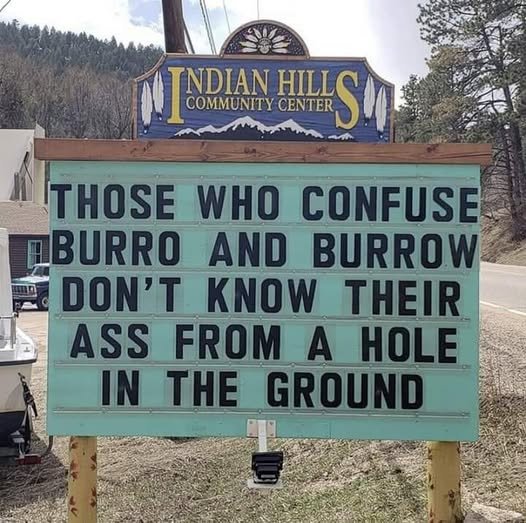 burro_vs_burrow.jpg
