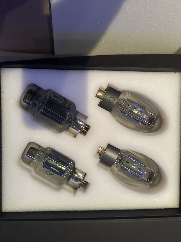 IMG_9644.jpeg IMG_9644.jpeg