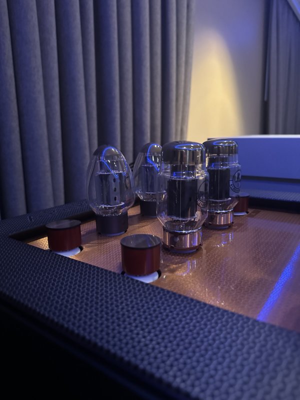 IMG_9650.jpeg IMG_9650.jpeg