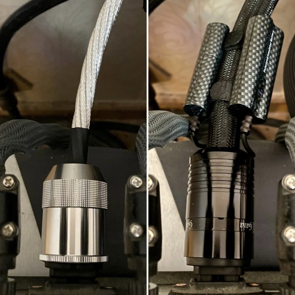 IMG_3142.jpeg IMG_3142.jpeg