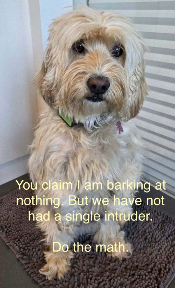 IMG_3883.jpeg IMG_3883.jpeg