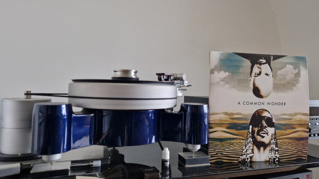 Amerigo Gazaway - A Common Wonder.jpg