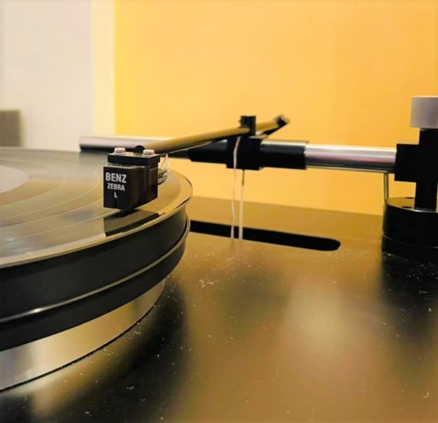 holbo + benz zebra l.jpg