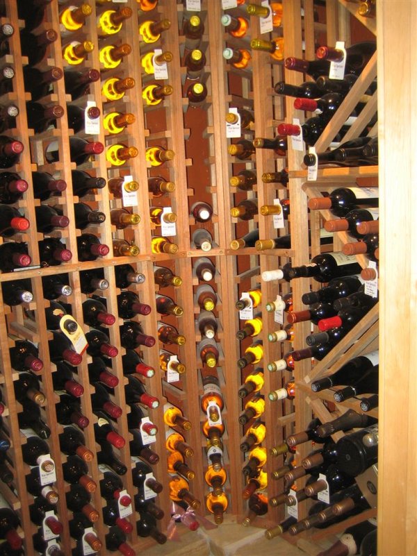 IMG_5464 (Large).JPG