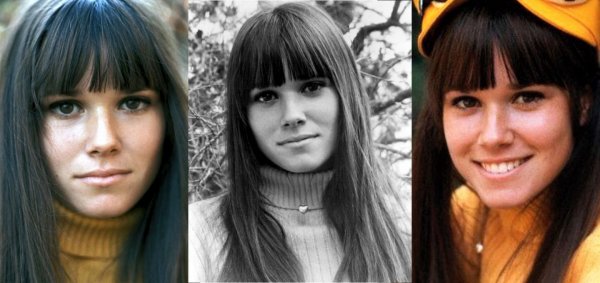 Barbara Hershey 2.jpg