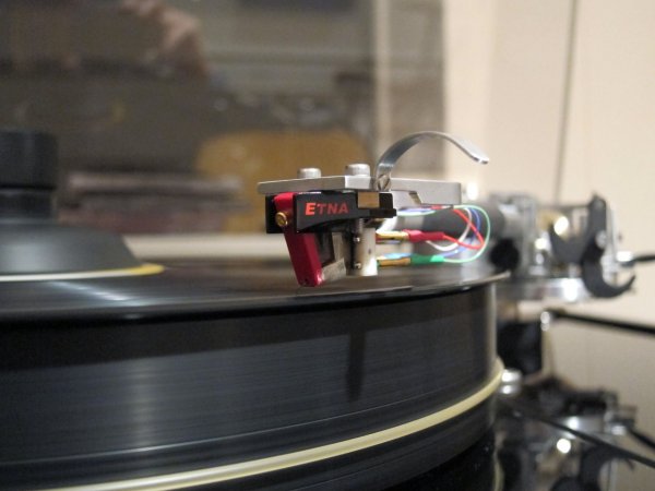 Lyra resize.jpg Lyra resize.jpg