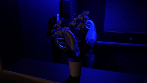 DSCF4973.jpg