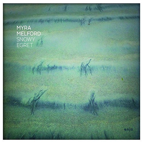 Myra Melford.jpg