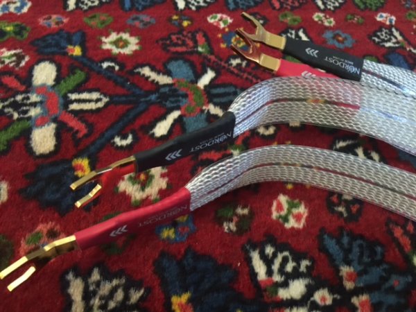 IMG_1308.JPG IMG_1308.JPG