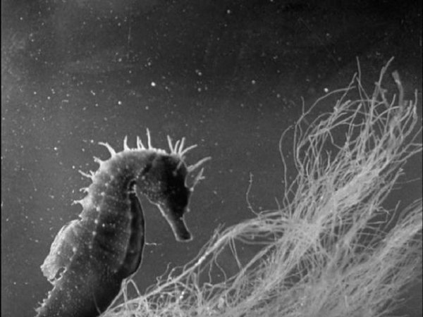 tumblr_m2dnfsOAjM1rohra1o1_1280.jpg tumblr_m2dnfsOAjM1rohra1o1_1280.jpg