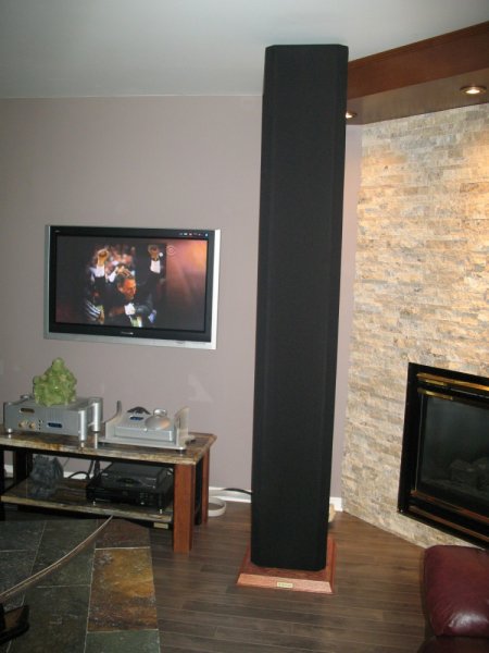 Acoustat 1+1 750 X 1000 02.jpg