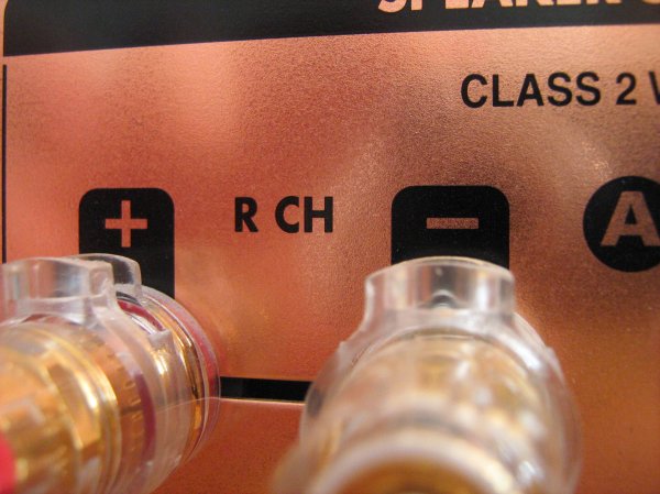 IMG_1155.jpg IMG_1155.jpg